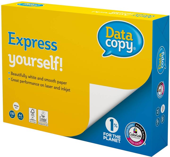 Data Copy Datacopy multi-function paper, 500 sheets (100 g/m², 500 x, A4)