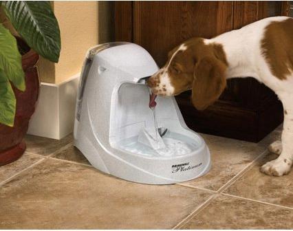 Produktbild PetSafe Platinum (5 l)