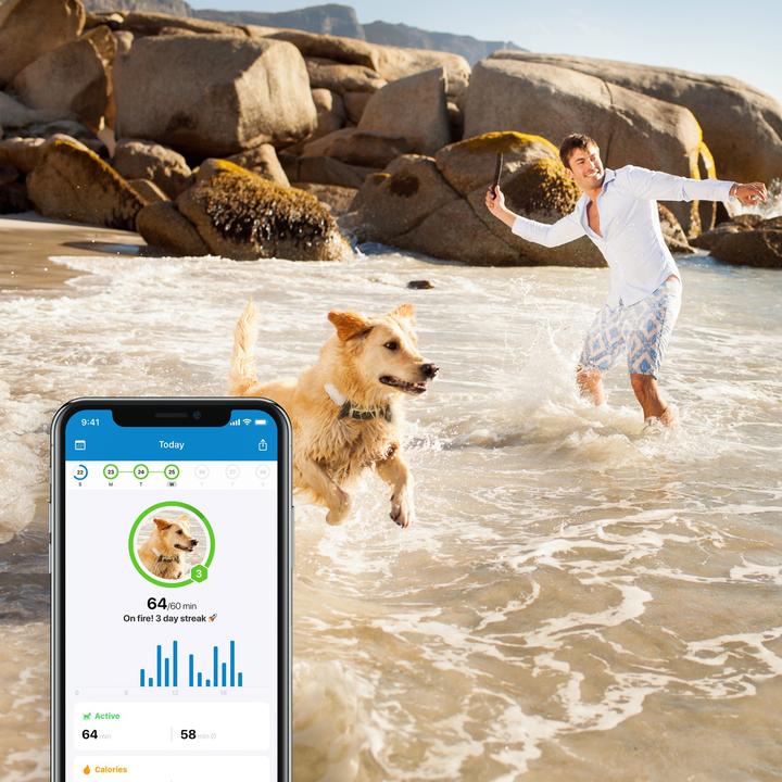 Actual product image Tractive Dog 4 GPS Tracker for Dogs (One size, Dog, General)