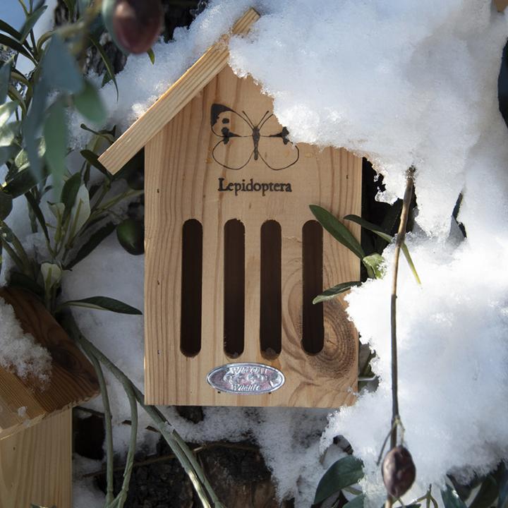 Actual product image Esschert Design Hôtel à papillons avec gravure (Butterflies)