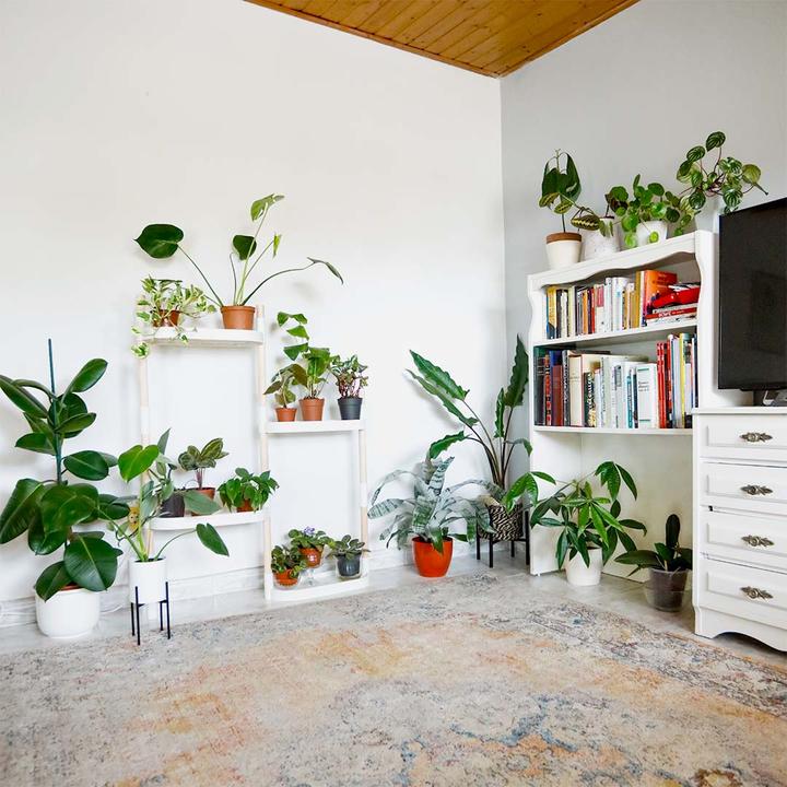 Immagine prodotto CitySens Scaffali per piante  colore bianco 4 vaschette