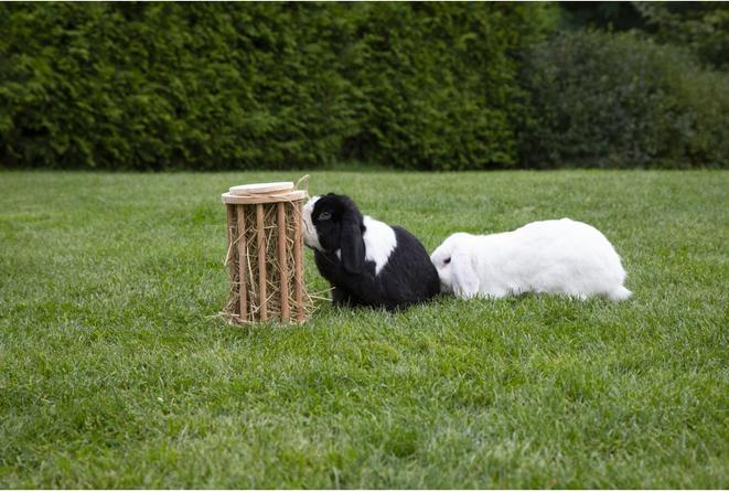 Actual product image Mica Pets Rodent accessories - Hay rack for rodents - approx. 15 x 25 cm