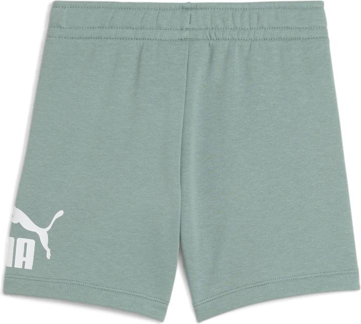 Actual product image Puma ESS No. 1 Logo Shorts TR PS (122)