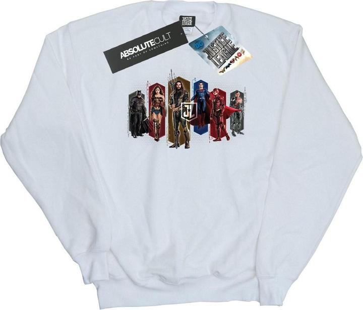 Produktbild Justice League Movie Team Hexagons Sweatshirt (L)