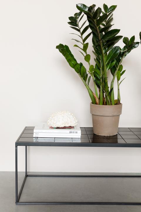 Actual product image Zuiver Glazed (93 x 43 x 36 cm)