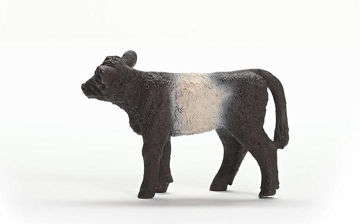 Image du produit Schleich Veau Galloway