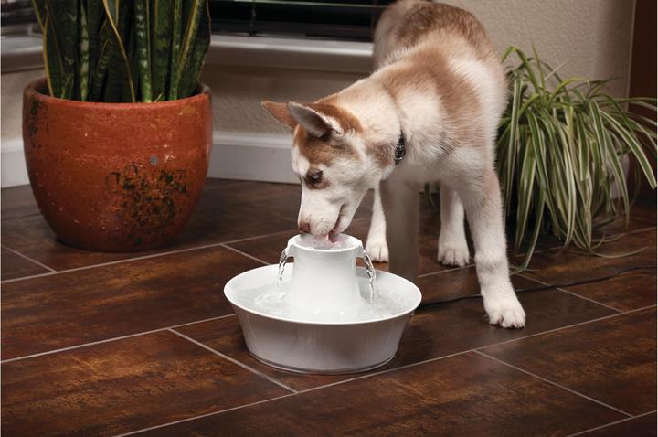 Produktbild Drinkwell PetSafe Avalon (2 l)