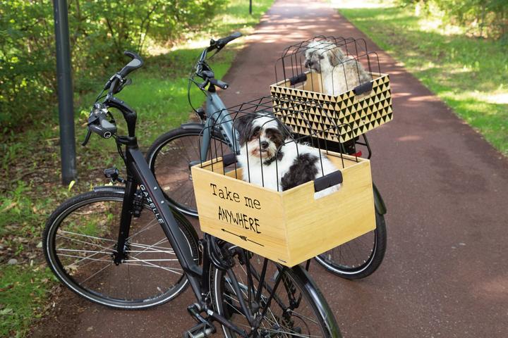 Produktbild Beeztees Fahrradkorb (Hund, Komplett zu öffnen)