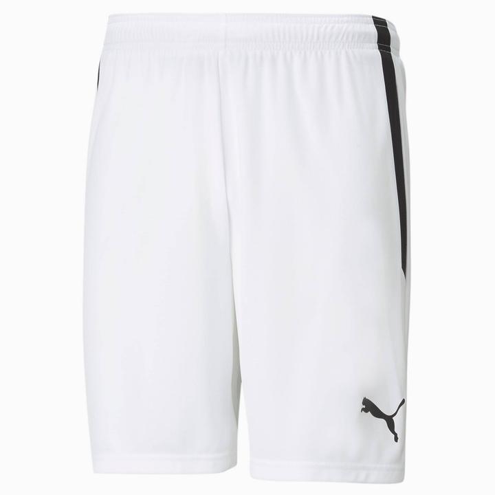 Actual product image Puma teamLIGA Shorts-704924 (60)