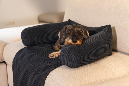 Image du produit Designed by Lotte Ribbed (Chien)