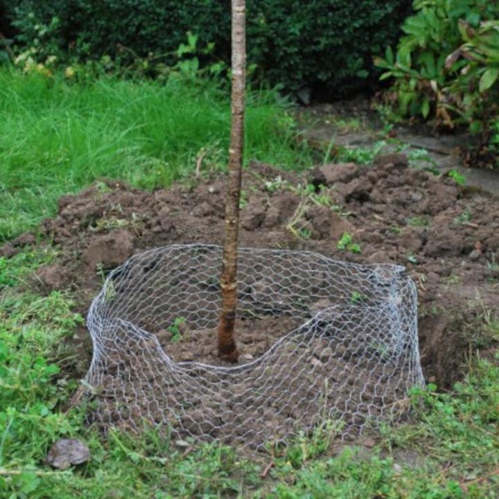 Actual product image Siena Garden Vole basket (5000 ml)