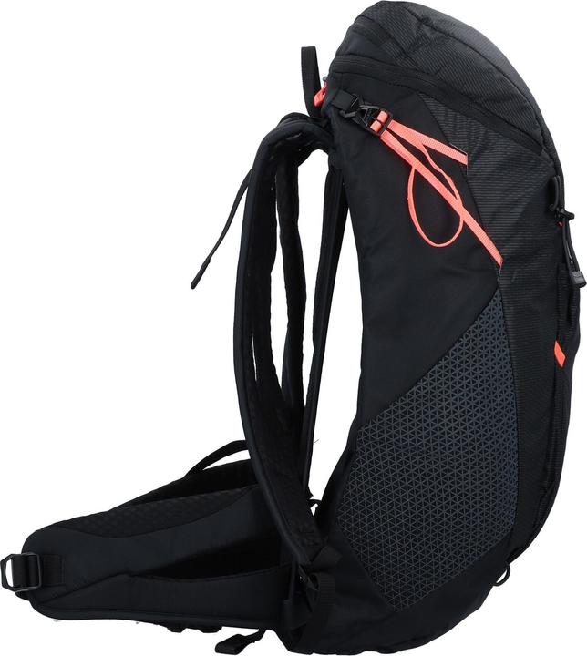 Salewa Alp Trainer L Rucksack (25 l)