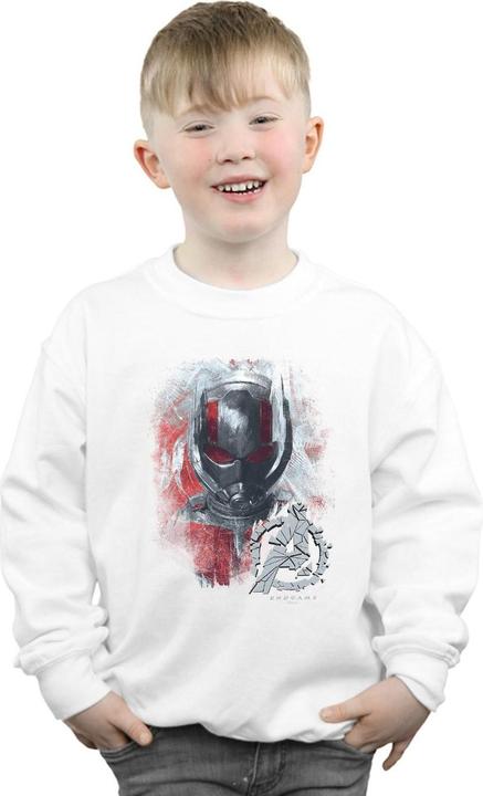 Image du produit - Sweat AVENGERS ENDGAME ANT-MAN BRUSHED - Garçon (140, 146)