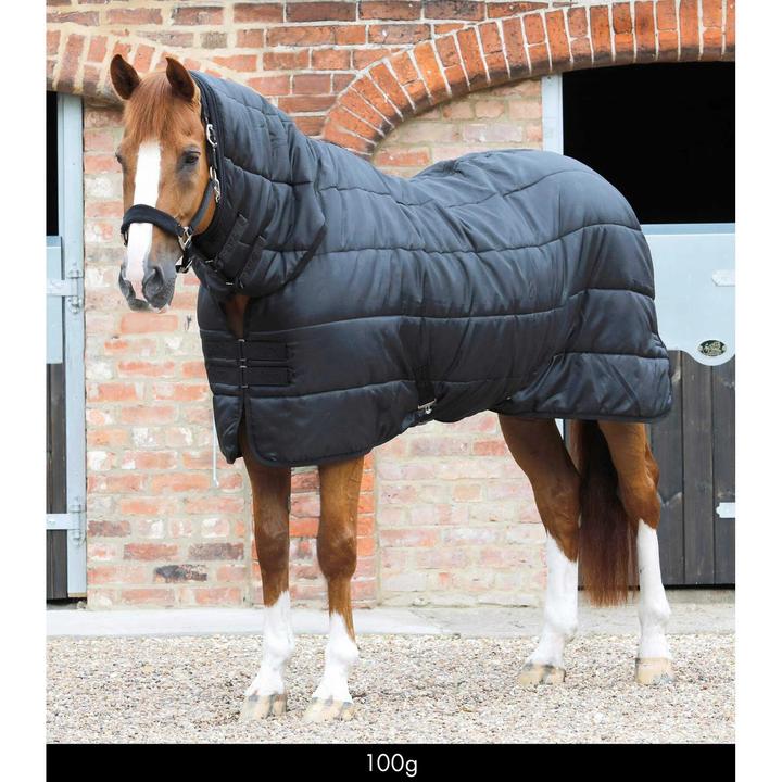 Premier Equine 100 g (213 cm)