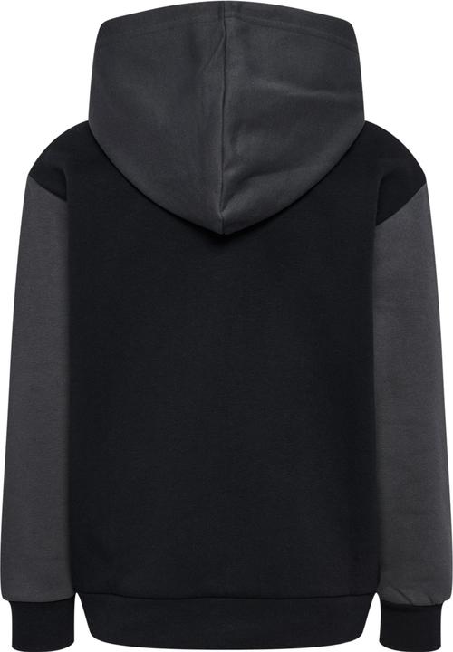 Actual product image hummel hmlALVIN HOODIE (110)