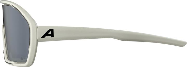 Image du produit ALPINA SPORTS Bonfire Q-Lite (Cool Grey Matt-Silver Mirror, Argent)