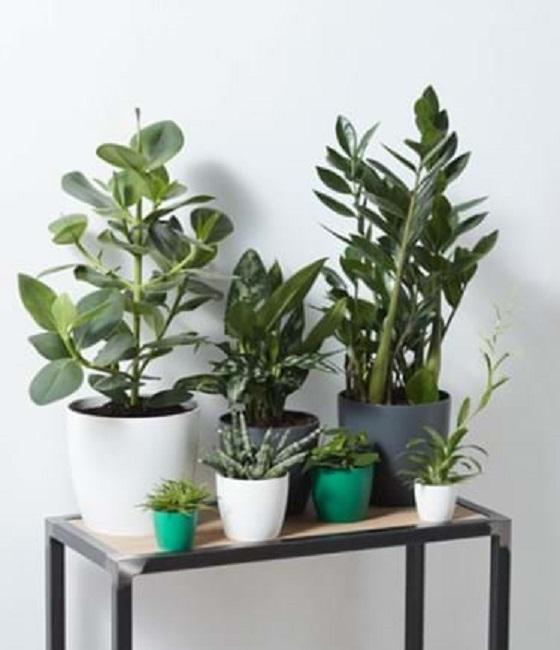 Produktbild Elho Pure Soft (59 cm)