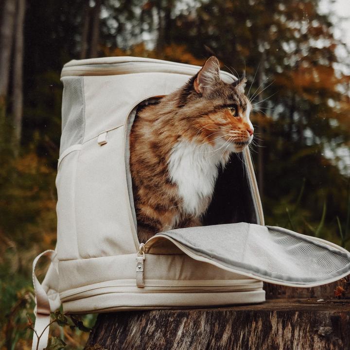 Actual product image LucyBalu HOP-ON Katzenrucksack (Cat, Safety closure)