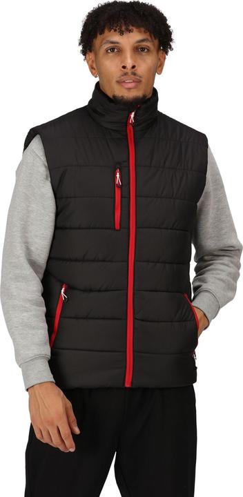 Immagine prodotto Regatta Gilet termico Navigate pour hommes (L)