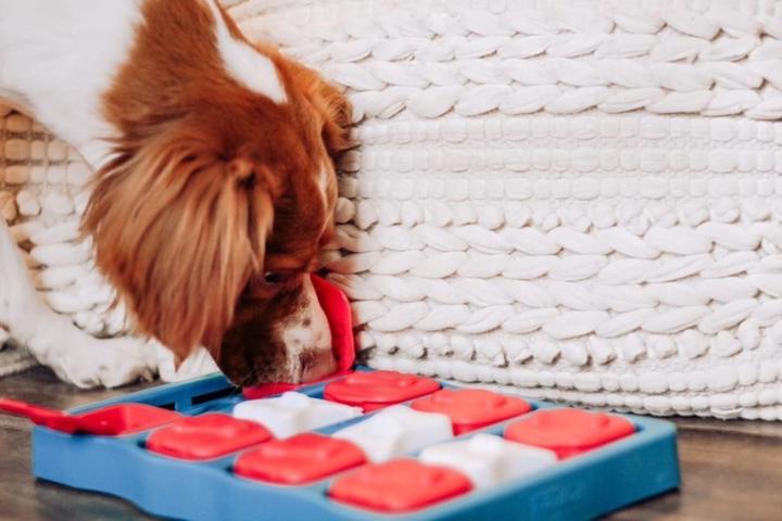 Produktbild Nina Ottosson Dog Brick (Intelligenzspielzeug Hund)