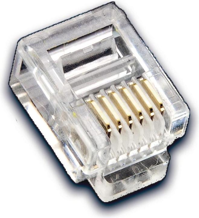 Wirewin Spina modulare RJ-12, 6P/6C, confezione da 100 pezzi