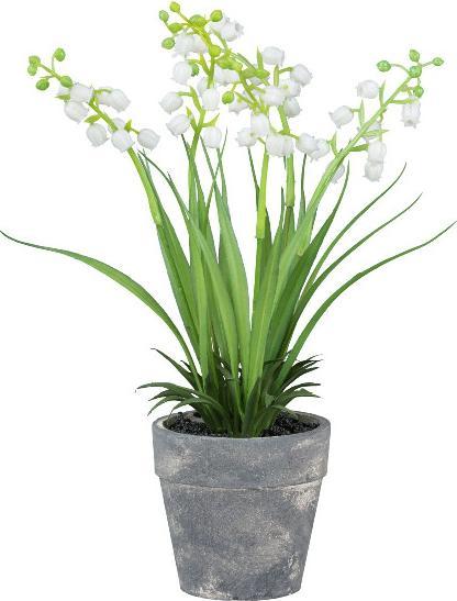 Actual product image Gasper Kunstpflanze Maiglöckchen 22cm
