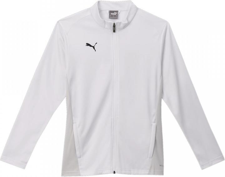 Actual product image Puma teamGOAL Training Jacket Wmn (S)