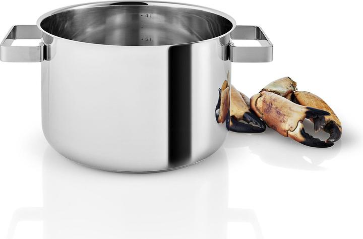 Immagine prodotto Eva Solo Pentola (21.30 cm, Pentola, Acciaio inossidabile)