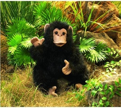 Actual product image Folkmanis Baby chimpanzee