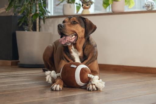 Actual product image Beeztees Hundespielzeug Pary tier (Plush toy dog)