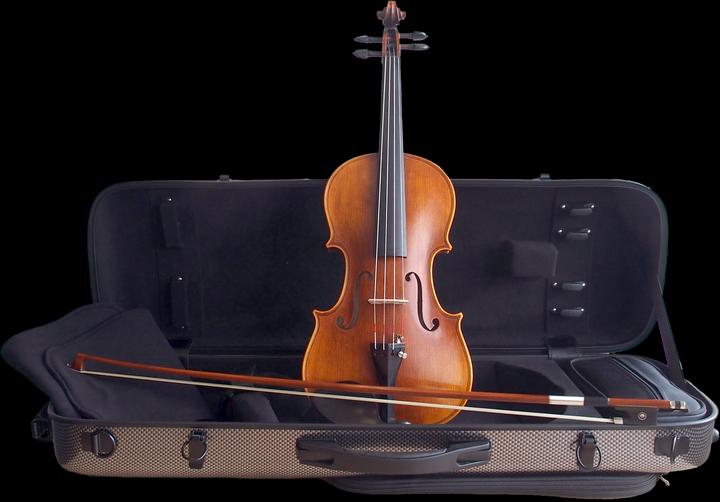 Stentor Violine 4/4, Handmade ProSeries Arcadia, Fernambuk Bogen, DeLu (4/4)