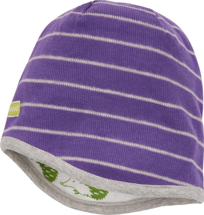 Actual product image loud + proud Reversible cap striped (86/92)