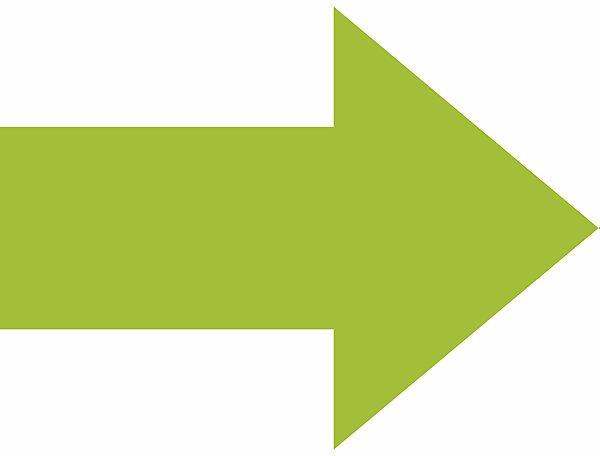 Image du produit smiT Symbole magnétique FLÈCHE, L x l 80 x 60 mm, lot de 20, vert.