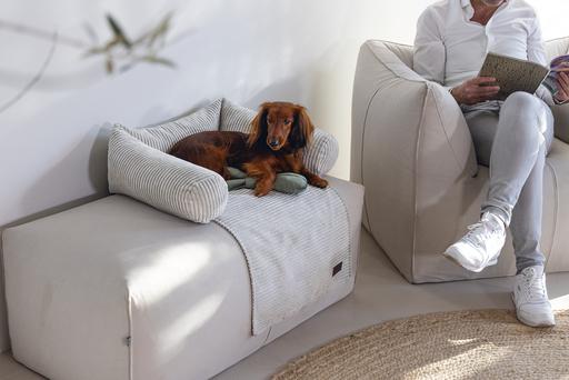 Produktbild Designed by Lotte Ribbed (Hund)