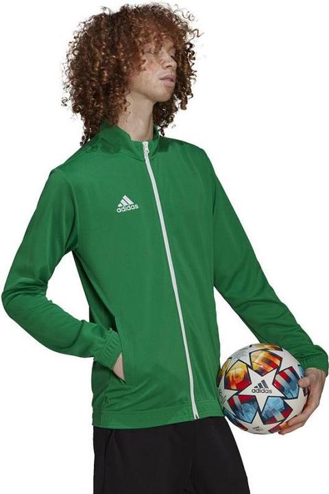 Actual product image adidas Entrada 22 men's training jacket (3XL)