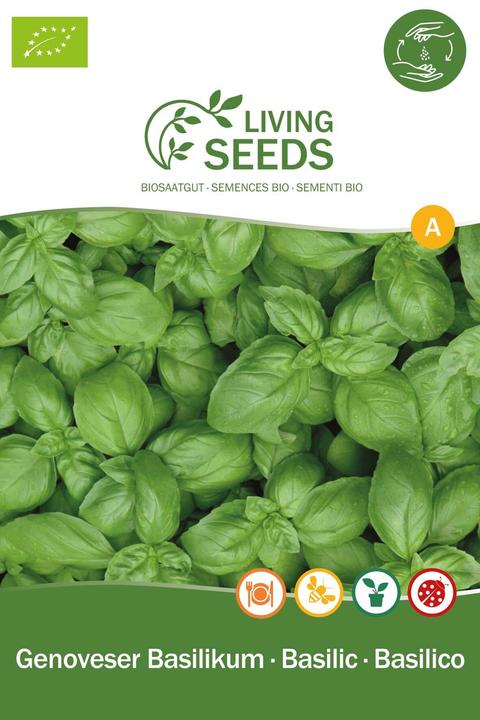 Living Seeds Basilico Genovese (Germogli)