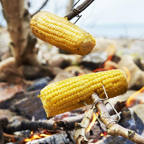 Image du produit Light my Fire Kit d'allumage du feu Bio