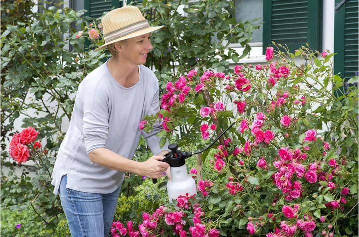 Produktbild Birchmeier Rose Star 1.25 (1.25 l)