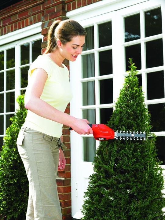 Actual product image Black & Decker Gsl300 (Cordless hedgecutters)