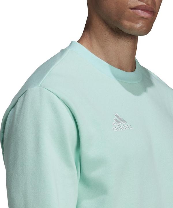 Produktbild adidas Entrada 22 Sweatshirt (L)