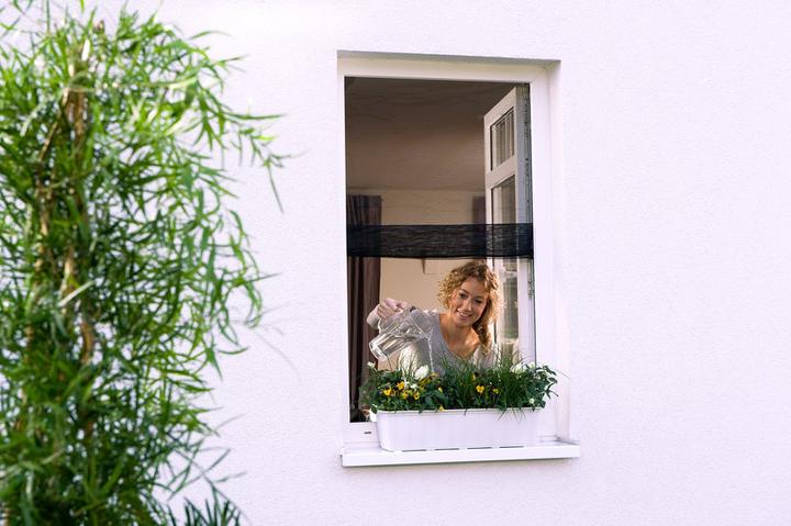Produktbild tesa Insektenschutz COMFORT für Fenster, mit Klettband, selbstklebend, ohne Bohren (130 x 150 cm)