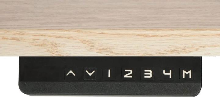 Immagine prodotto Swisshandel24 Scrivania (160 x 80 x 121 cm)