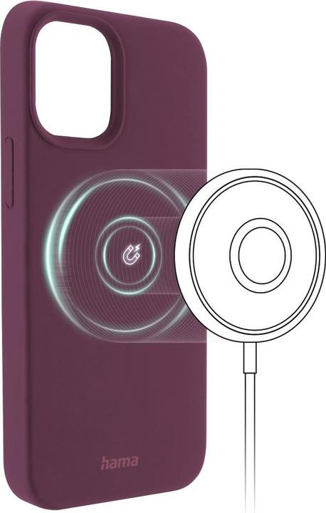 Produktbild Hama MagCase Finest Feel PRO (Apple iPhone 13 Pro)