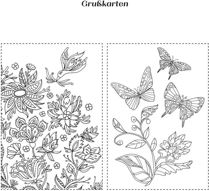 Actual product image My journey through the seasons