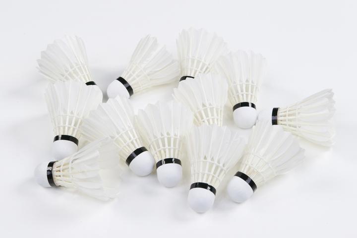 Actual product image Victor Badminton balls Pro Court