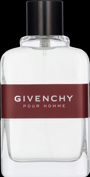Givenchy Pour Homme (Eau de Toilette, 100 ml)