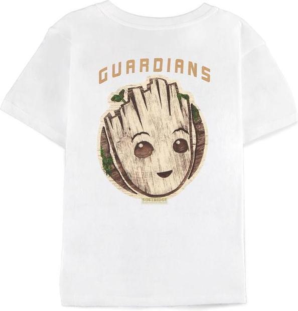 Actual product image Difuzed MARVEL - Groot - T-Shirt Garçon (122/128) (122)
