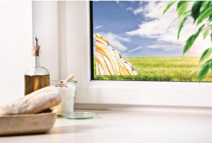 Immagine prodotto Windhager Trappola per finestre Discreet 2 pz.