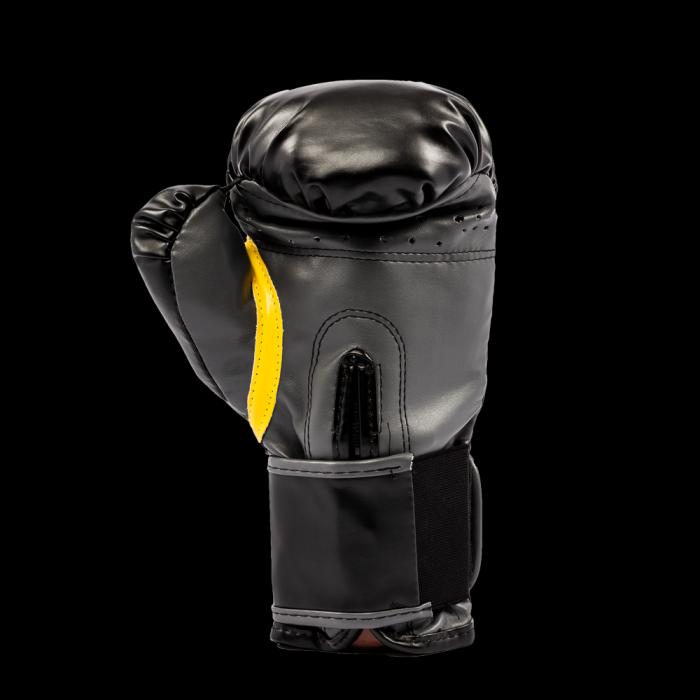 Image du produit Everlast Classic Training (16 OZ)