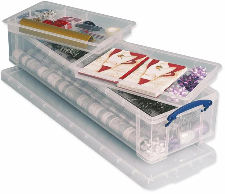 Immagine prodotto Really Useful Box scatola di immagazzinamento (16 x 25,5 x 80 cm, 22 l)